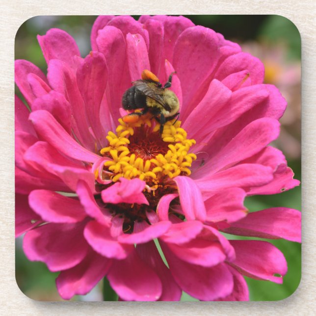 Rosa Blume und Hummel Untersetzer (Vorderseite)