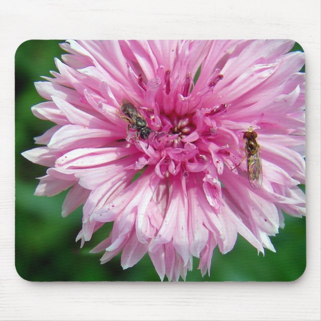Rosa Blume und Insekten Mousepad (Vorne)