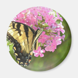 Rosa Blume und Schmetterling Magnet