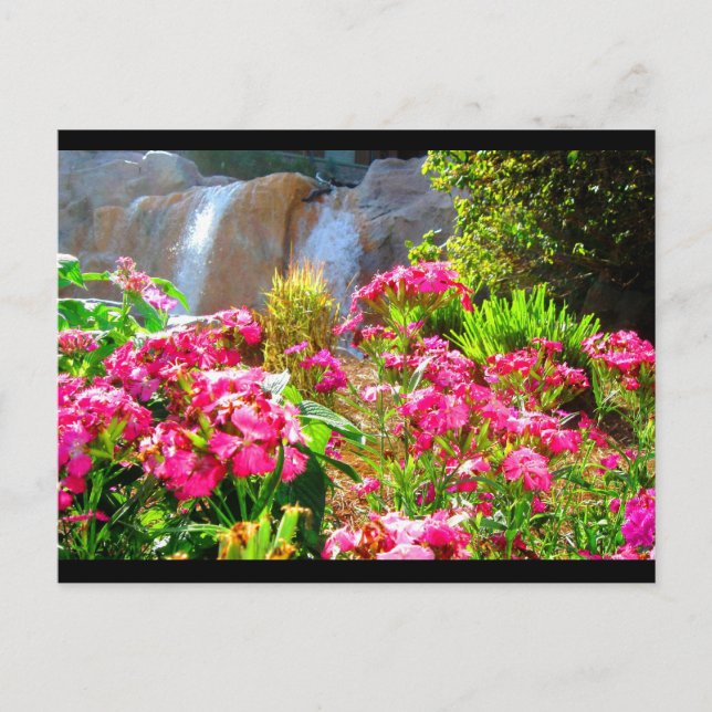 Rosa Blume und Wasserfall Postkarte (Vorderseite)