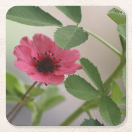 Rosa Blume Untersetzer