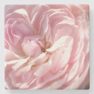 Rosa Blume Untersetzer
