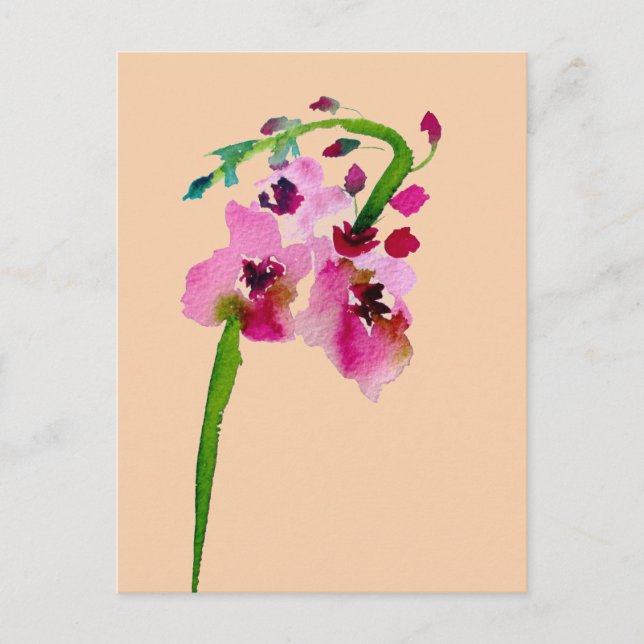 Rosa Blume Verbascum Blütenröte Kunst Postkarte (Vorderseite)