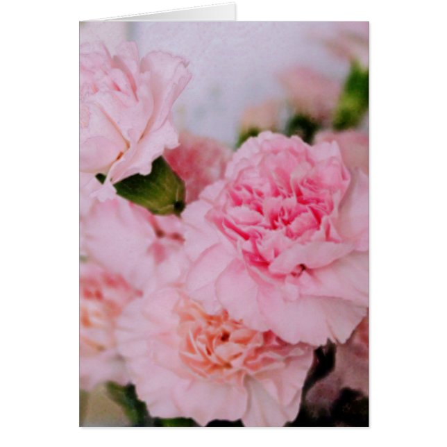 Rosa Blume Vintage Stilfotografie (Vorne)