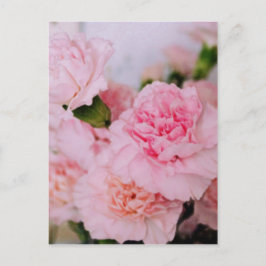Rosa Blume Vintage Stilfotografie Postkarte