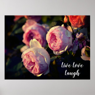 Rosa Blume vom Garten Poster