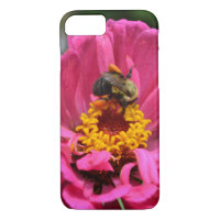 Rosa Blume Zinnia Hummel Honigbiene