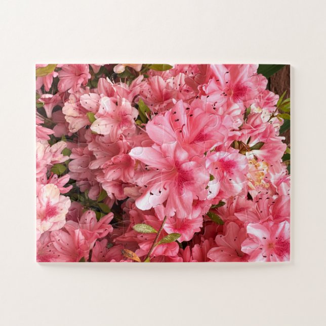 Rosa Blumen (Horizontal)