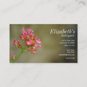 Rosa Blumen-Geschäfts-Karte Visitenkarte