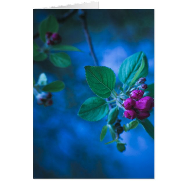 Rosa Blumen-Karte (Vorne)