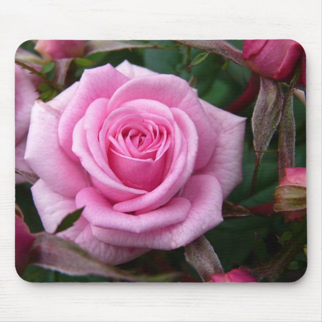Rosa Blumen Mousepad Rosen-Dekor-Geschenke (Vorne)