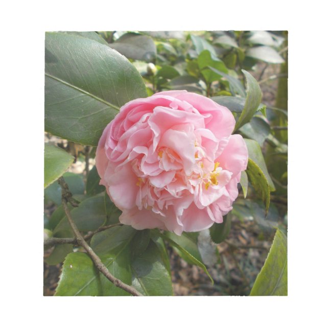 Rosa Blumen Notizblock (Vorderseite)