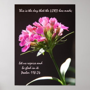 Rosa Blumenblüte mit Vers vom Psalm-118:24 Poster