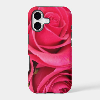 ROSA BLUMENfall DER ROSEN-IPHONE 5