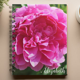 Rosa Blumenfotografie Elegante Peony Custom Notizblock