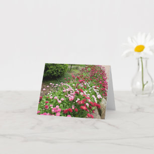 Rosa Blumengarten Karte