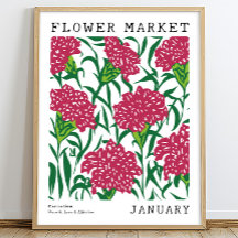 Rosa Blumenkarnation Januar Geburtsmarkt Blume