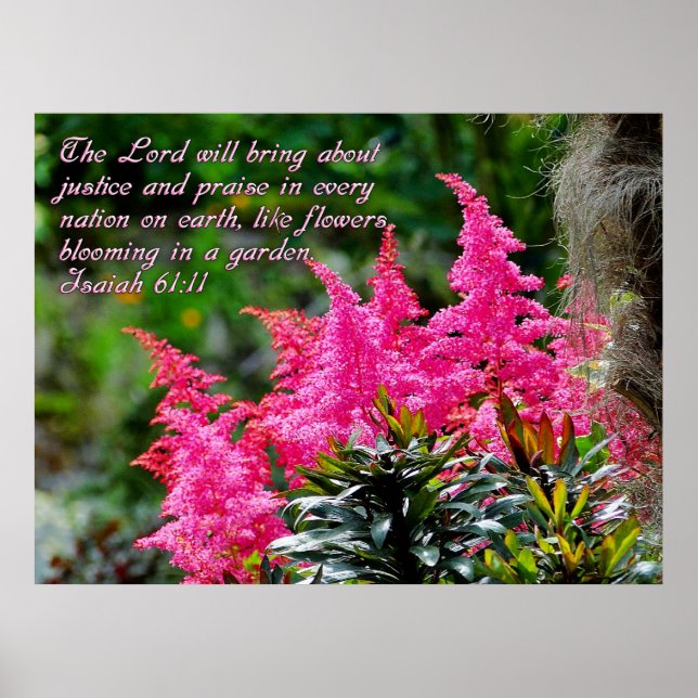 Rosa Blumenschrift Verse Inspiration Poster (Vorne)