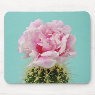 Rosa Blüte auf stacheligem Kaktus Mousepad