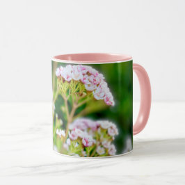 Rosa Blüte Tasse