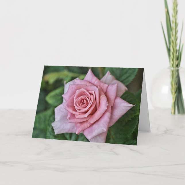 Rosa Blüte Vollblütenkarte Karte (Vorderseite)