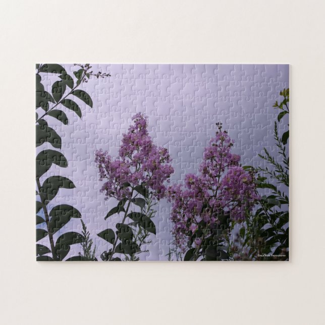 Rosa Blüten (Horizontal)