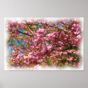 Rosa Blüten Aquarellfarben Foto Malerei Blume Poster