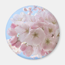 Rosa Blüten blauer Himmel. Magnet