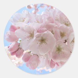 Rosa Blüten blauer Himmel. Runder Aufkleber