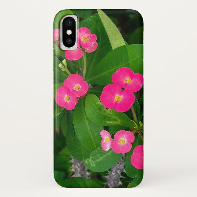 Rosa Blüten der Krone von Thorns Case-Mate iPhone Hülle (Rückseite)
