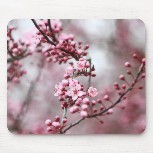 Rosa Blüten im Frühlings-Foto Mousepad (Vorne)