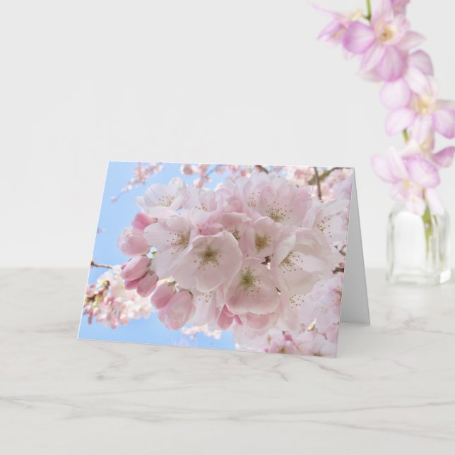 Rosa Blüten Karte (Orchidee)