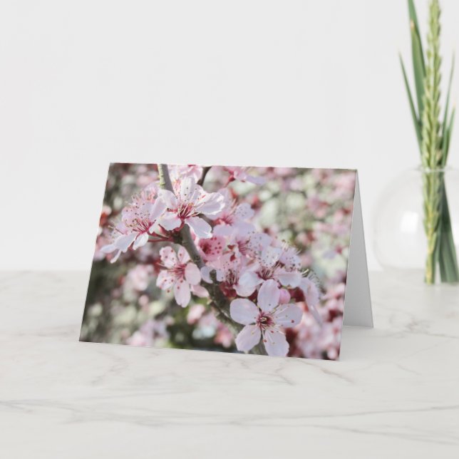 Rosa Blüten roten Stiele. Karte (Vorderseite)