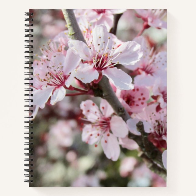 Rosa Blüten roten Stiele. Notizbuch (Vorderseite)