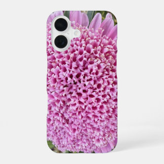 Rosa Blütenaster Botanisches iPhone 16 Case Hülle
