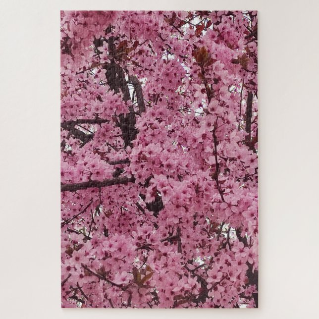 Rosa Blütenfrühlingszeit (Vertikal)