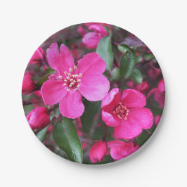 Rosa Blütenkrabapfel Pappteller