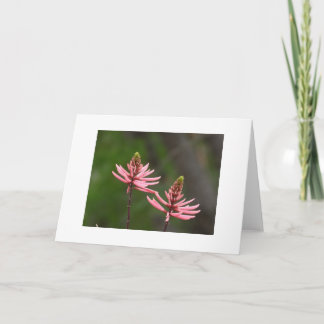 Rosa Blütenstände Naturfoto leer Karte