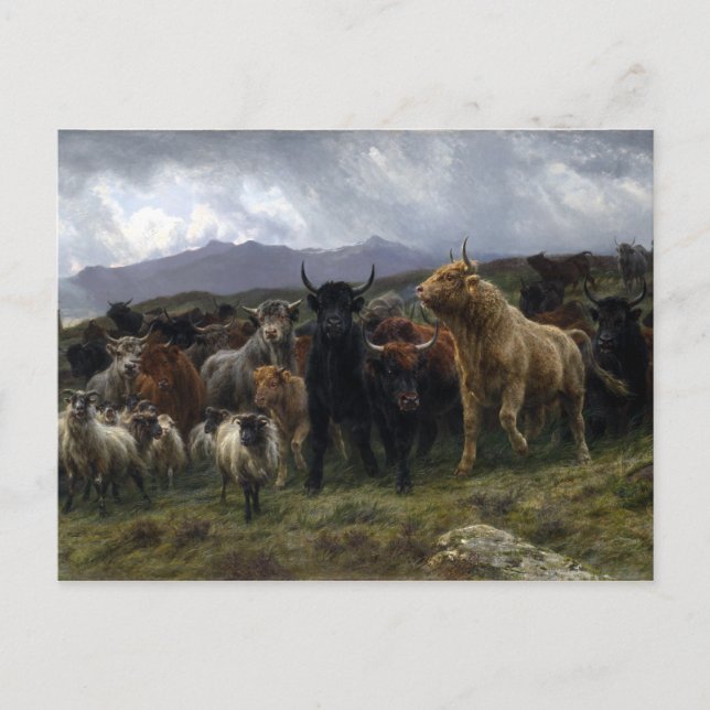 Rosa Bonheur Highland Raid Postkarte (Vorderseite)