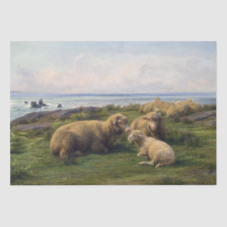 Rosa Bonheur | Schaf am Meer Seidenpapier