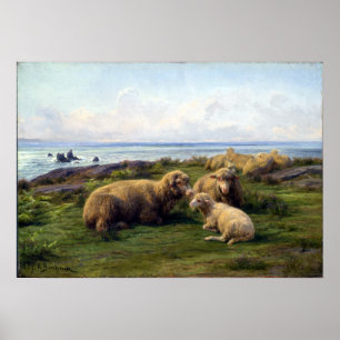 Rosa Bonheur Sheep am Meer Poster