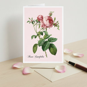 Rosa-Botanik-Kunst-Notizkarte in Rosa