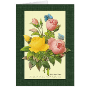 Rosa Botanische Rosen in Rosa und Gelb Grußkarte