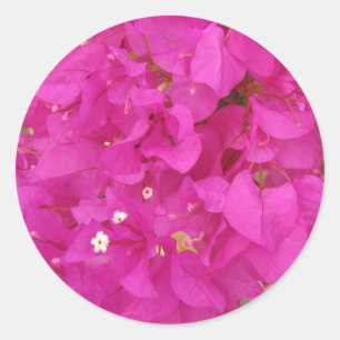 Rosa Bouganvilla-Blume (Griechenland) Runder Aufkleber
