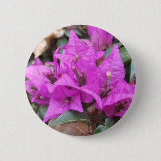 Rosa Bouganvilla-Blumen-Knopf Button