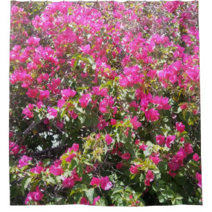 Rosa Bouganvilla-Bush-Druck-Duschvorhang Duschvorhang