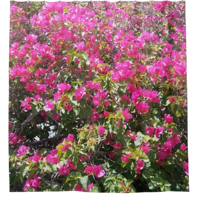 Rosa Bouganvilla-Bush-Druck-Duschvorhang Duschvorhang (Vorderseite)