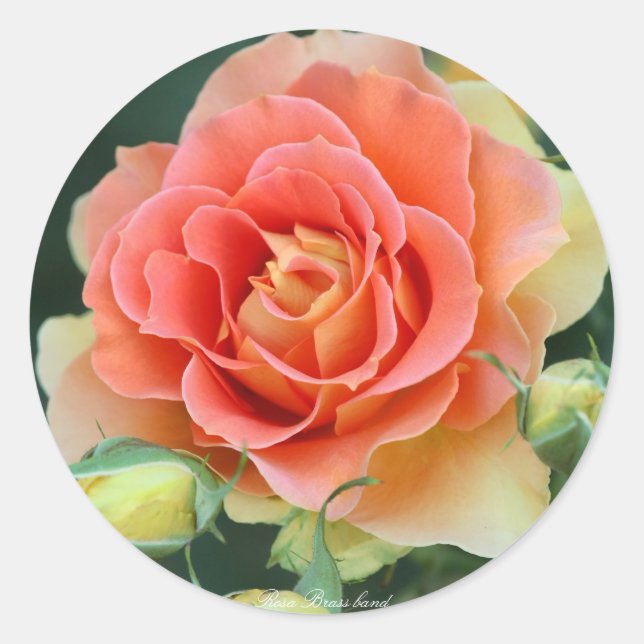 Rosa Brass band Runder Aufkleber (Vorderseite)