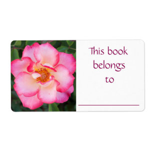 Rosa-Buch