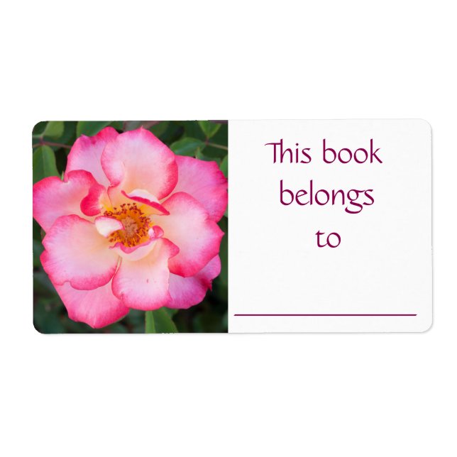 Rosa-Buch (Vorne)
